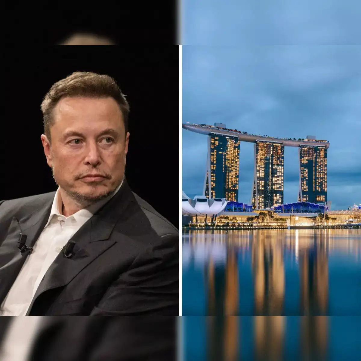 Elon Musk warns Singapore and many other countries headed towards  extinction from Earth - The Economic Times
