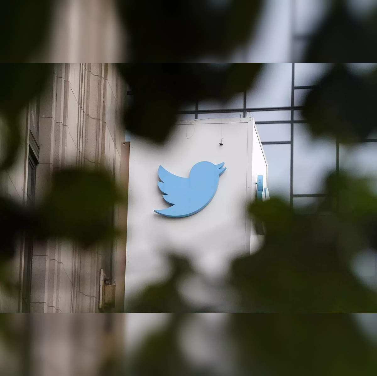 Twitter Lets Users Apply For Verified Accounts