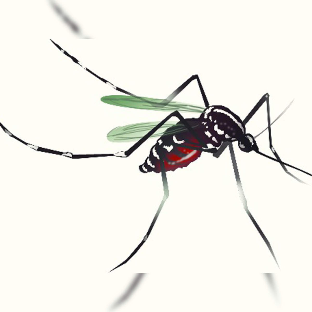 Snapdeal mosquito clearance killer