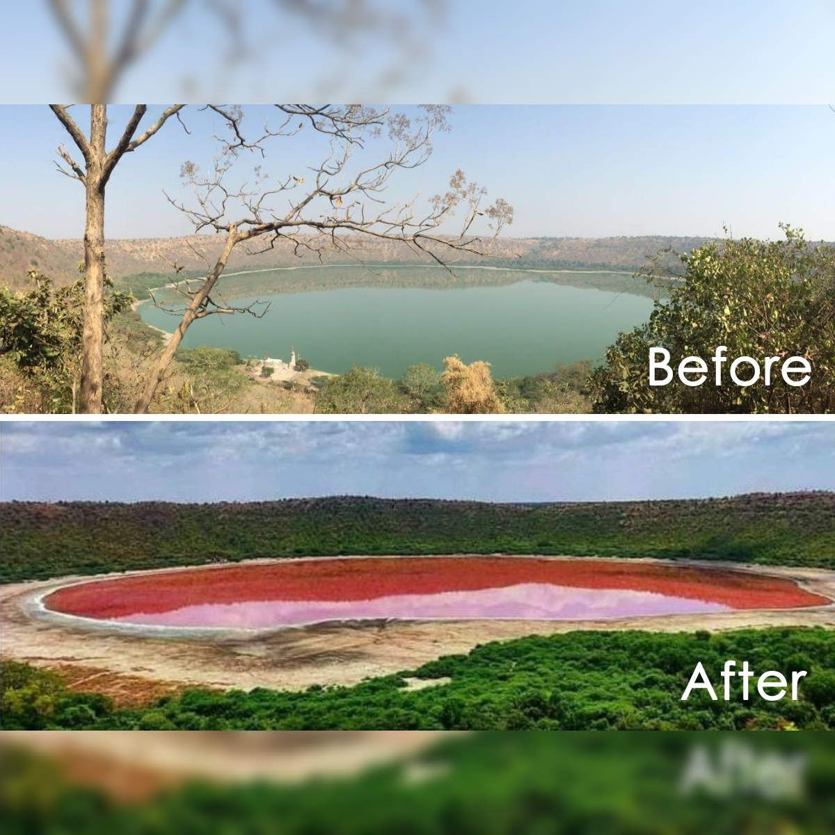 The Curious Case of Lonar Lake: Why Has India's Largest Crater Lake Turned  Pink? | Weather.com