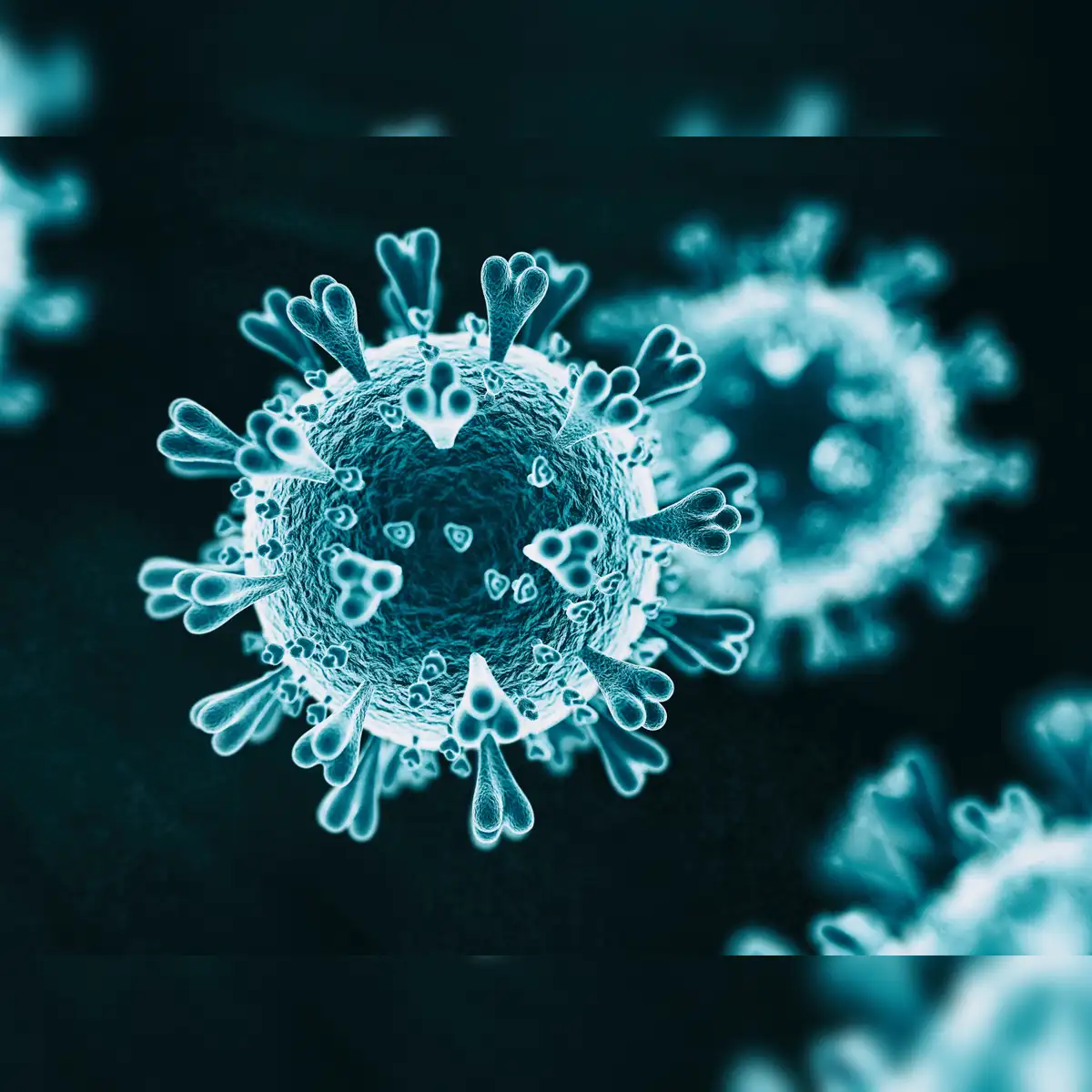 Virus Art A Portrait Of The Coronavirus At 1: How It Spreads, Infects,