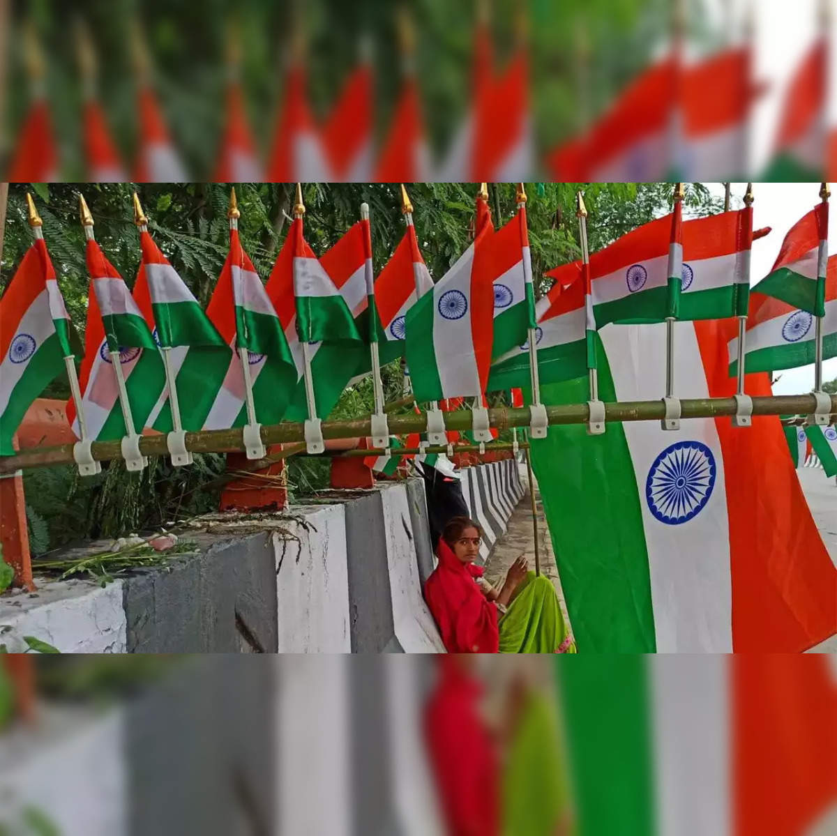 India at 75: Know the right way to display our National Flag and celebrate  'Har Ghar Tiranga' campaign - India News | The Financial Express