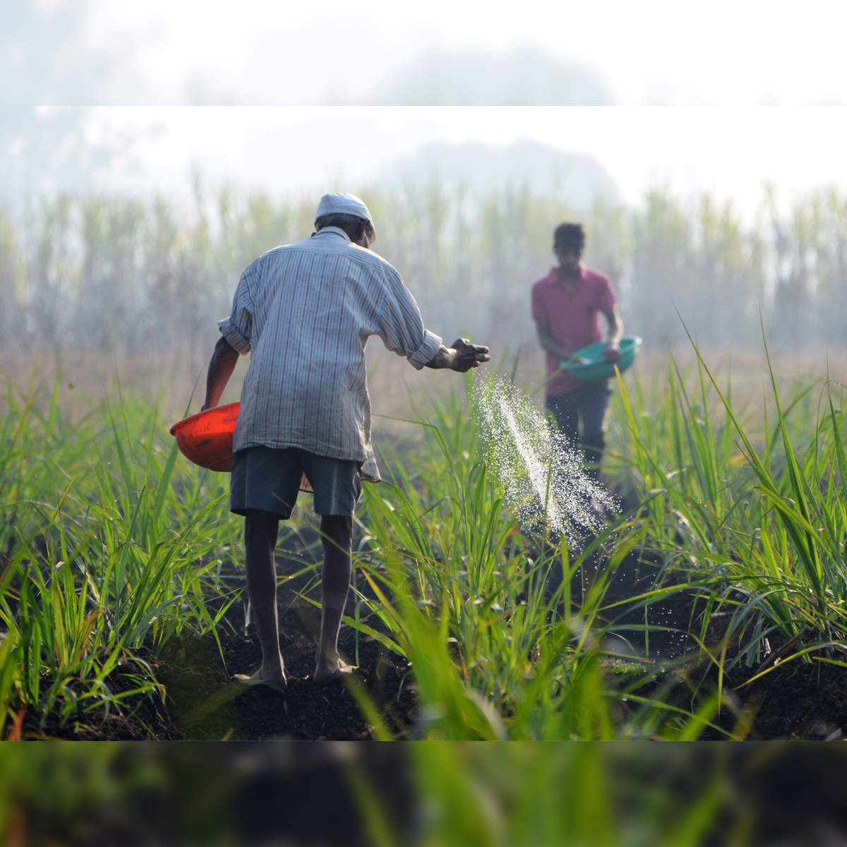 View: Nature produces agricultural solutions for smallholder