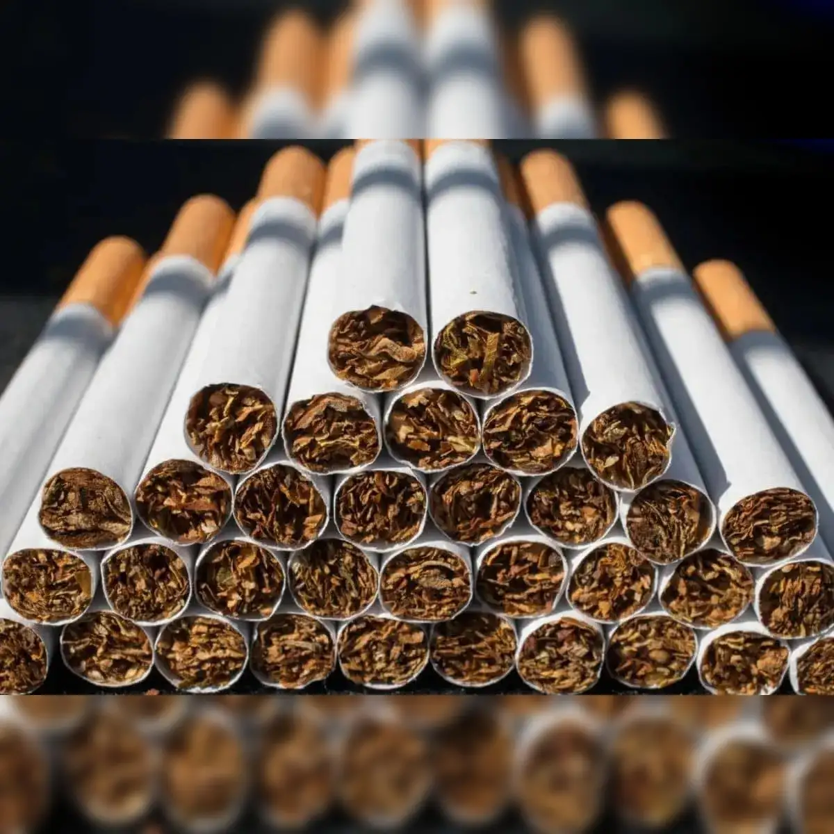how many types of tobacco India: World's 2nd largest tobacco producer — types of tobacco grown in the  country | by Godfrey Phillips International