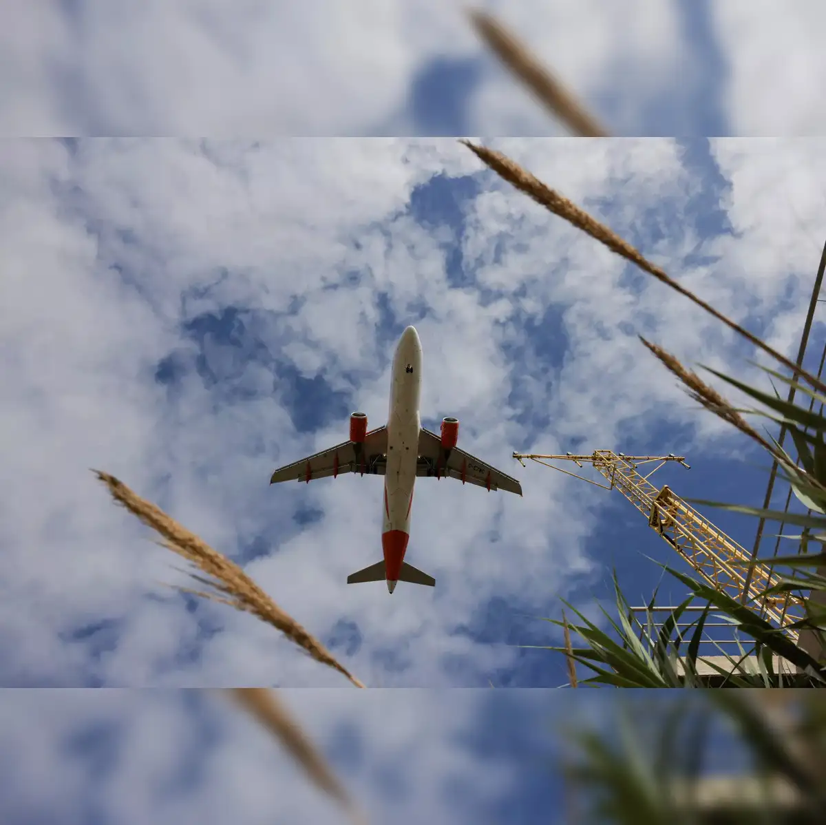 A-321 XLR aircraft: What is the A-321 XLR aircraft? Why is there an  increasing demand for this Airbus product? - The Economic Times