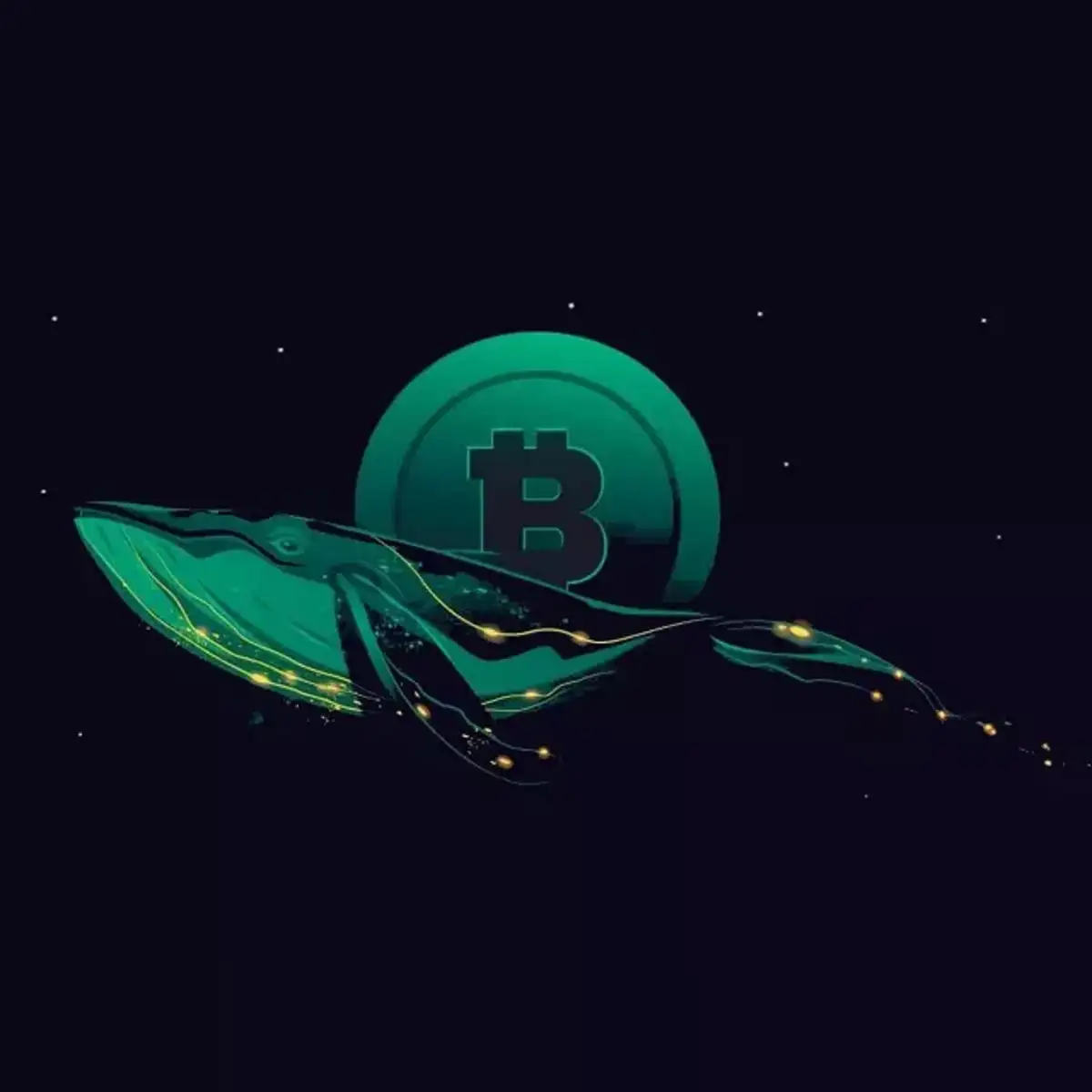 5 Best cryptocurrency that crypto whales are buying in 2022 - The Economic  Times