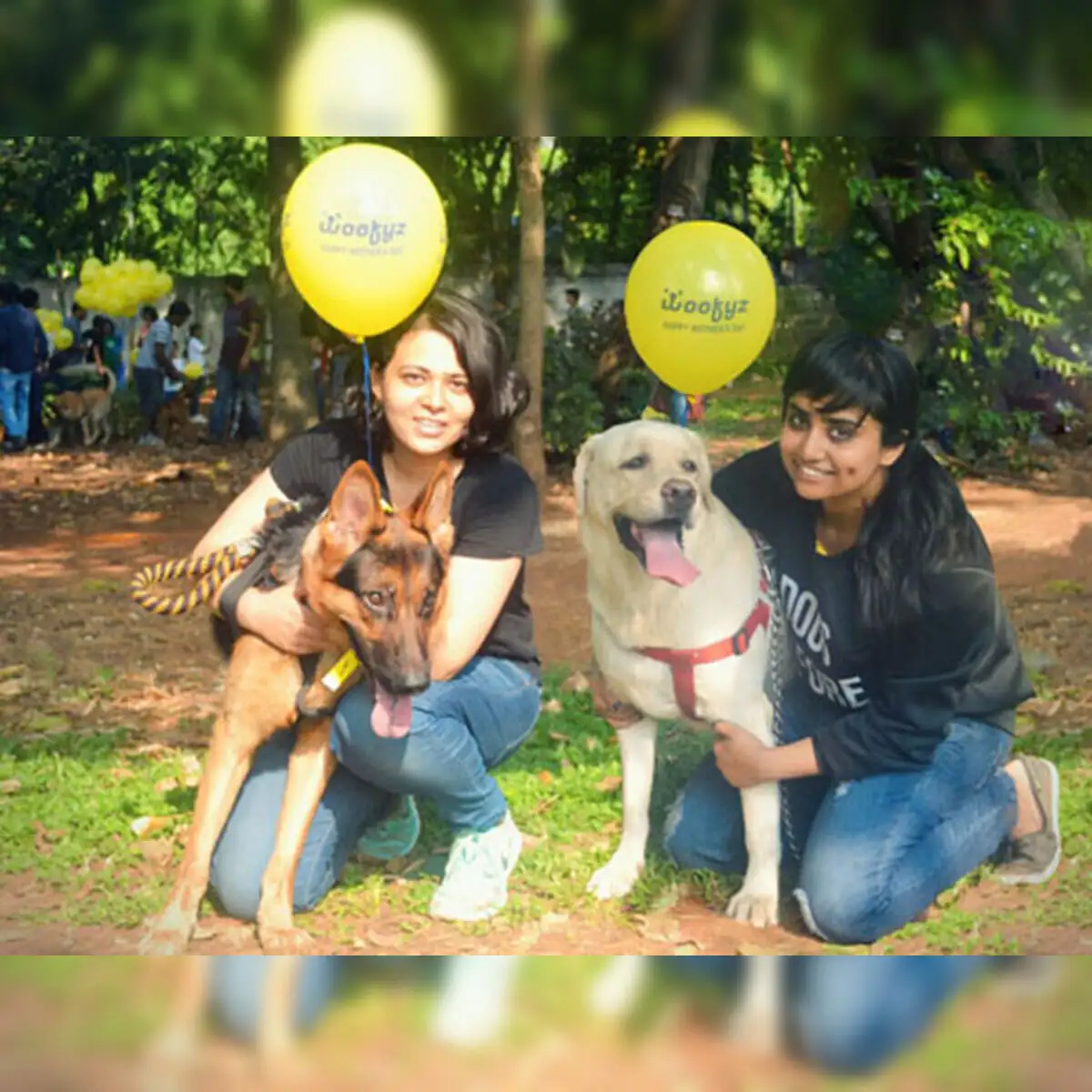Online platforms like Woofyz, PetSocial helping pet dogs to socialise and  date - The Economic Times