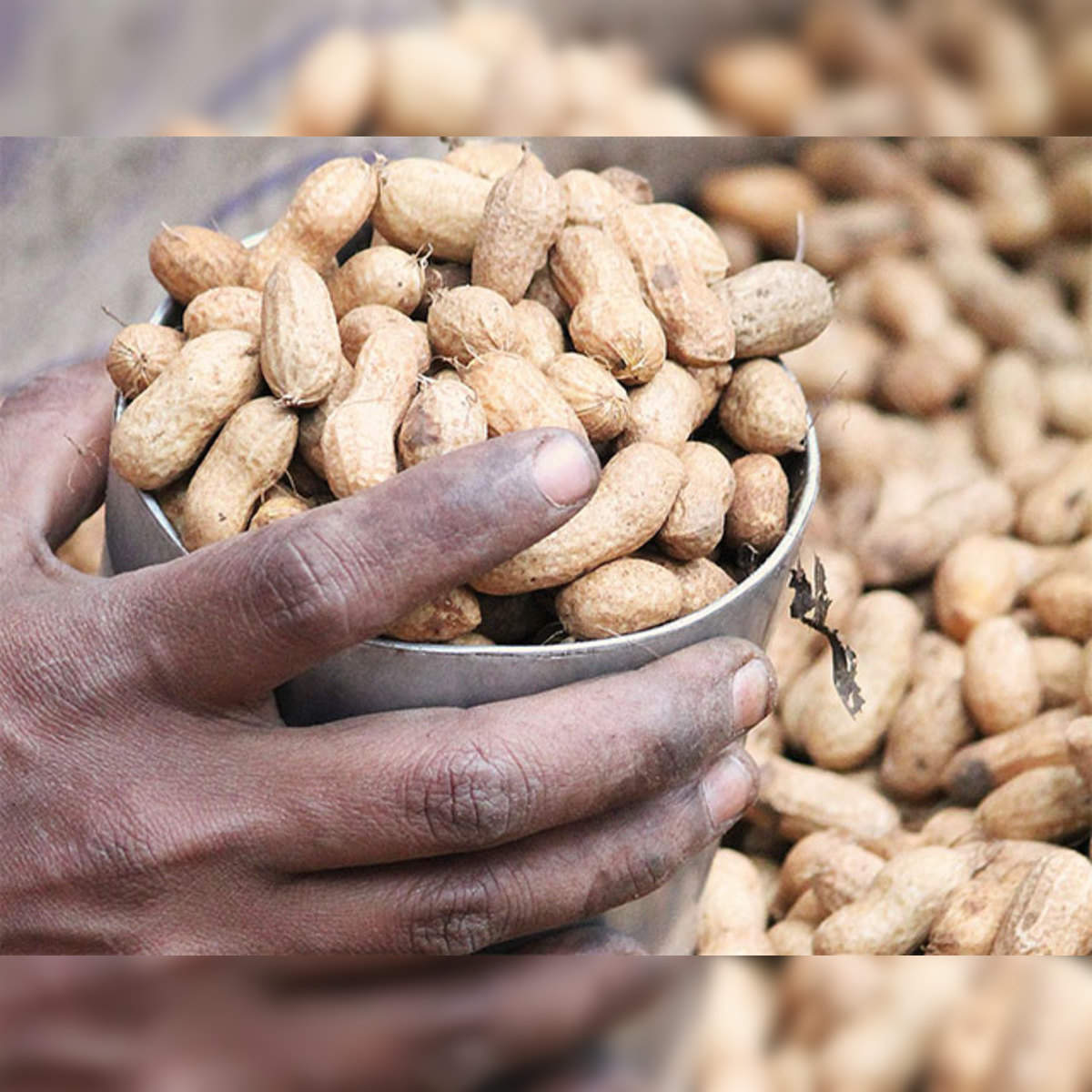 Groundnut Gaming