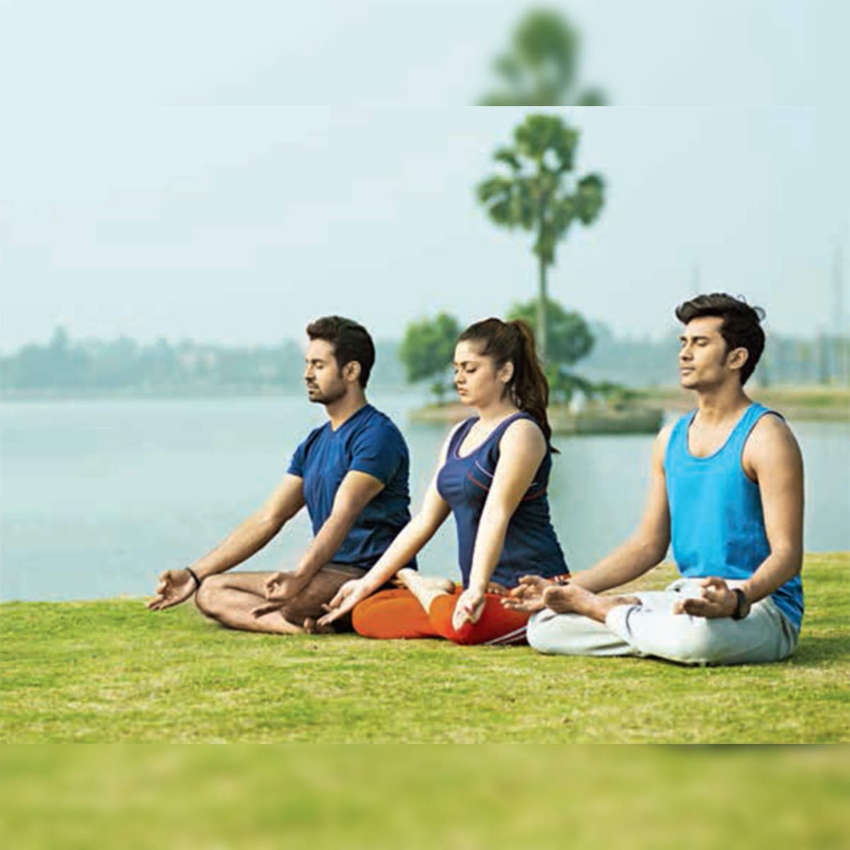 international yoga day: Pranayama: Use the power of your breath to stay  healthy - The Economic Times