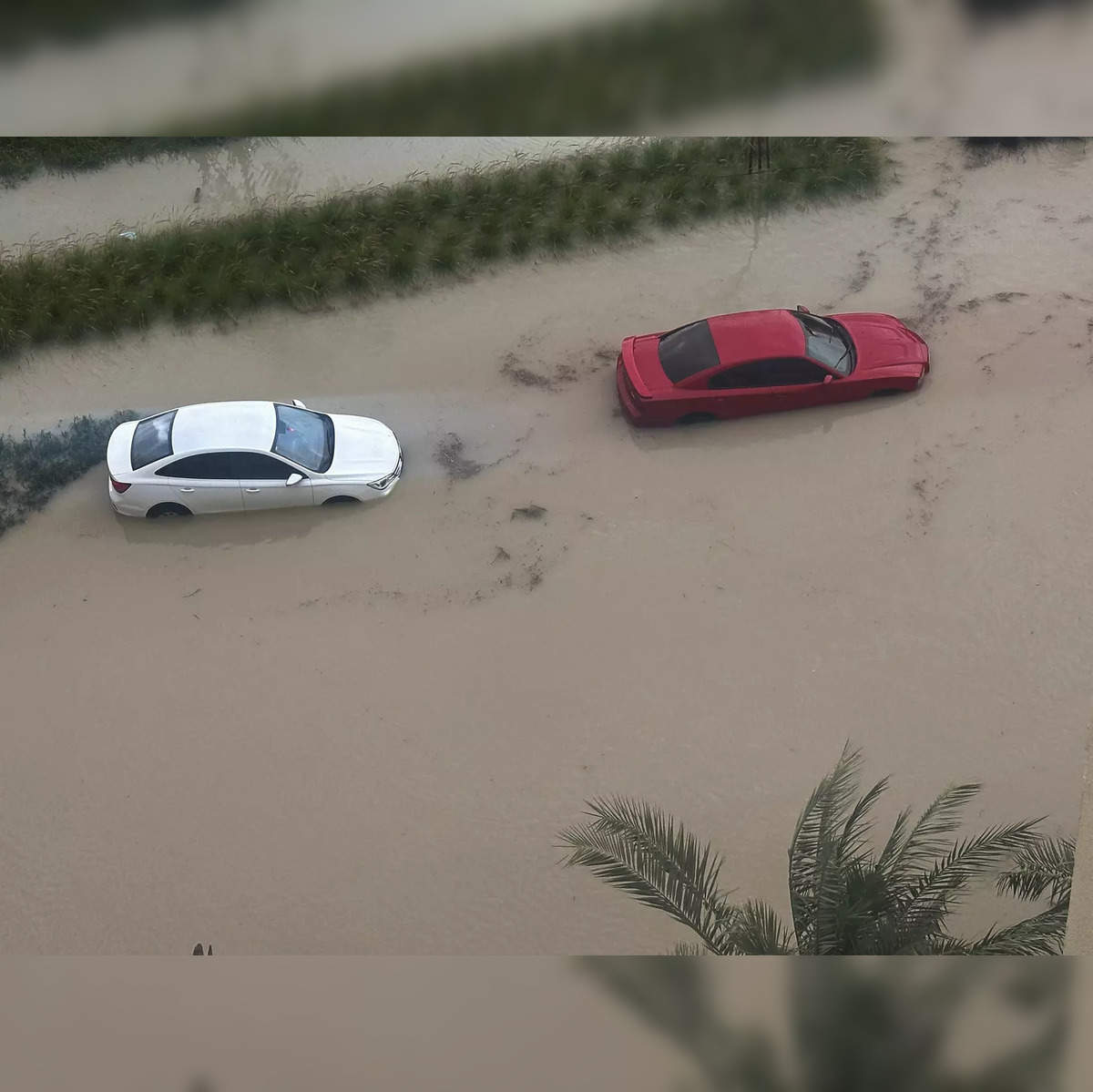 Dubai Flood: Dubai's wettest day in history: 1.5 years of rain in 24 hours.  What's behind UAE's record rainfall? - The Economic Times