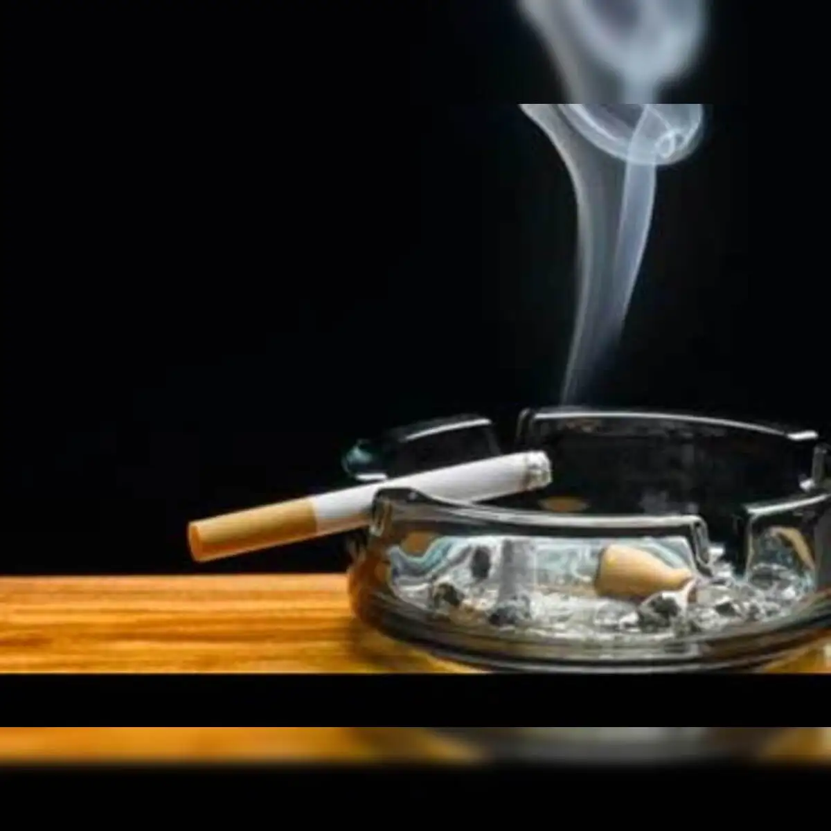 how to grow tobacco in zimbabwe 📍Tobacco Farming in Zimbabwe🇿🇼 Tobacco farming in Zimbabwe is a major  contributor to the country's economy, earning over US$1.13 billion in 2025  and accounting for a large share of agricultural exports. The