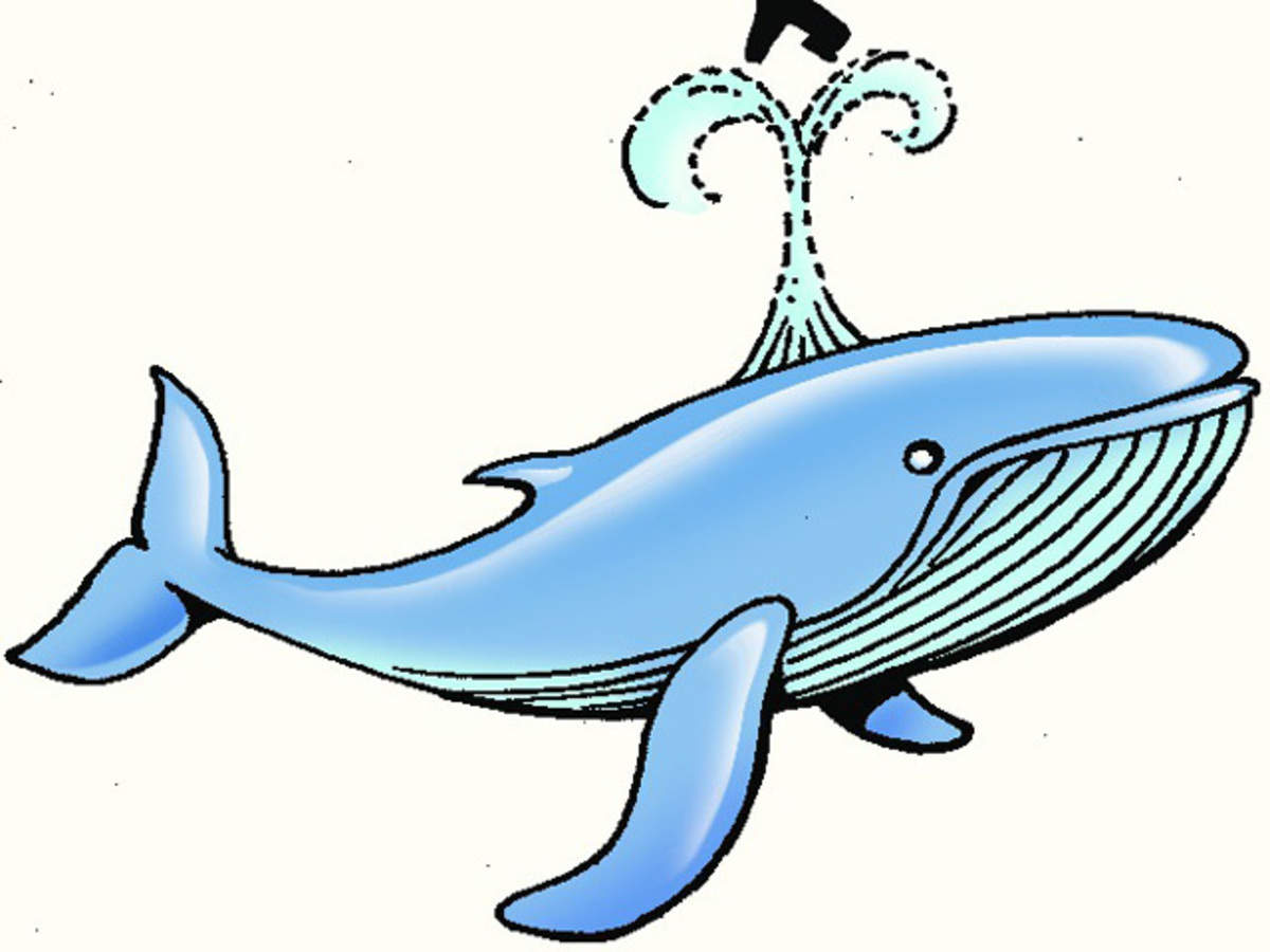 Blue Whale Challenge: Bombay High Court asks Maharashtra government to  respond to PIL seeking ban on Blue Whale - The Economic Times