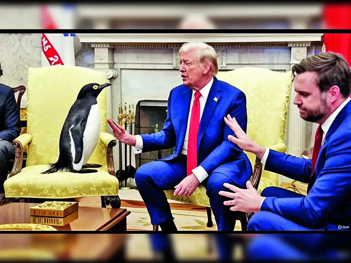 Funny side of US tariffs: Uninhabited Heard and Mcdonald islands hit with  baseline 10% tariff - The Economic Times