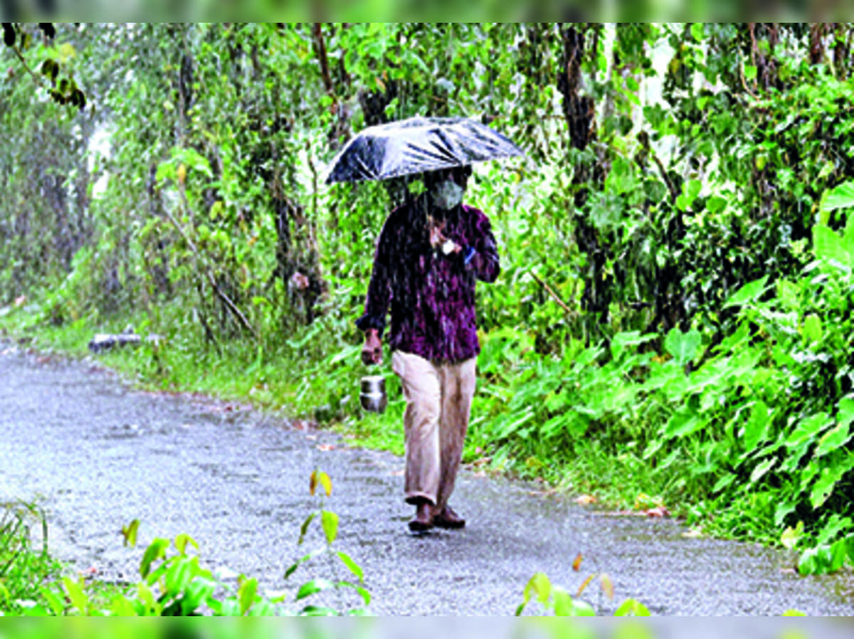 IMD issues 'Red Alert' in 5 districts as heavy rainfall continues ...