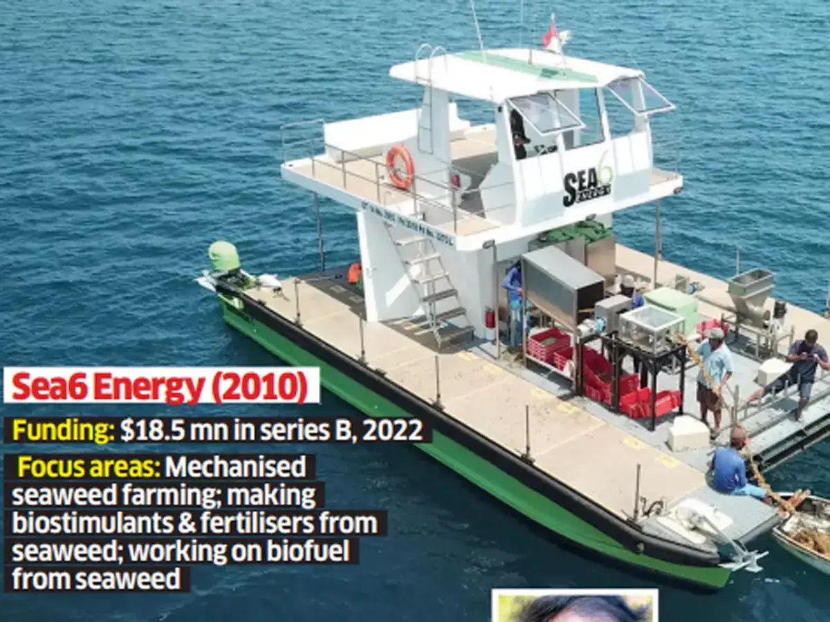 美品 raw life factory Cabanel SEAWEED Seaweed gets rolling: Indian companies explore sustainable