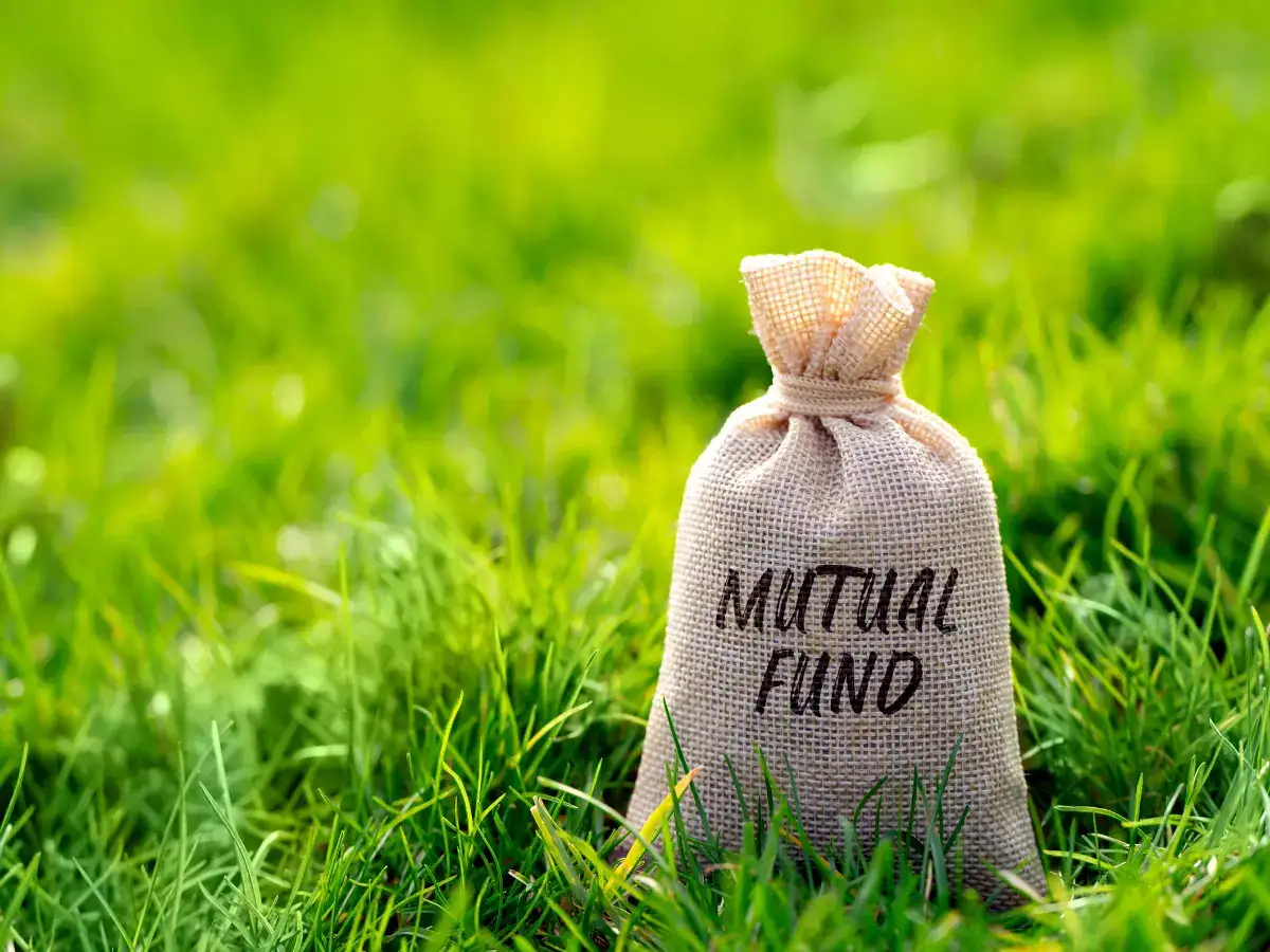 Why your returns from your mutual fund investment are different from the MF’s returns shown in the factsheet, on online platforms - The Economic Times