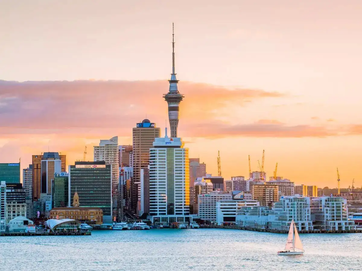 More international students choose New Zealand as preferred study abroad destination