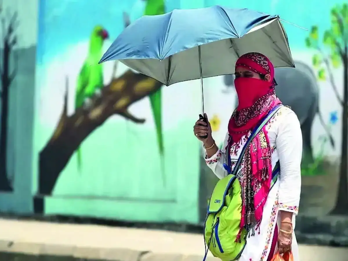 Put a freeze on extreme heat: Why India needs more than just heatwave warnings
