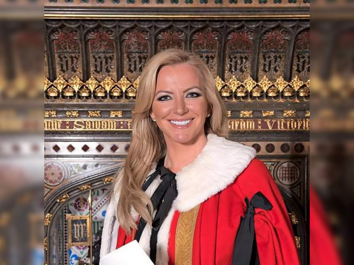 Michelle Mone Income Michelle Mone How did UK politician make