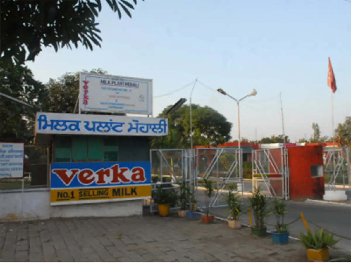 Progressive Dairy Farmers Association Punjab Dairy Farmers Seek Hike In Milk Procurement Rates The Economic Times Whole milk is about 3.5 percent fat, and it's the closest to the way it comes out of the cow. punjab dairy farmers seek hike in milk