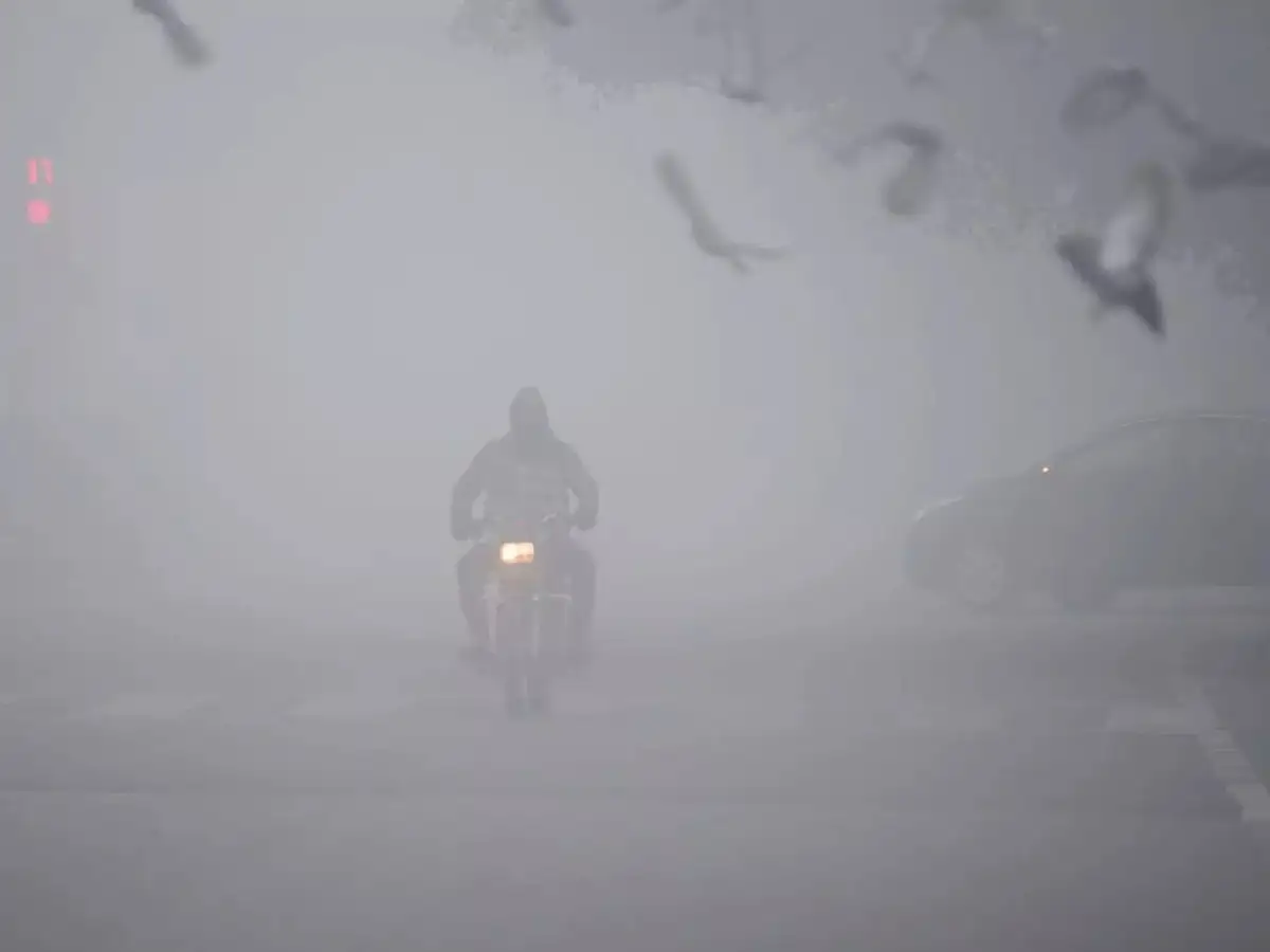 delhi temperature: Dense fog envelopes Delhi; Temp drops to season's lowest of 4.4 deg C - The Economic Times