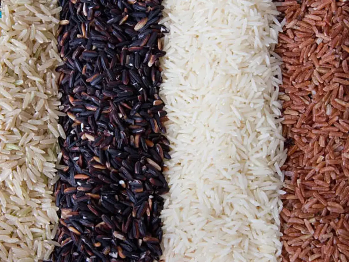 what do tobacco cotton and rice have in common rice: Coloured cousins of white rice are often a great source of  antioxidants