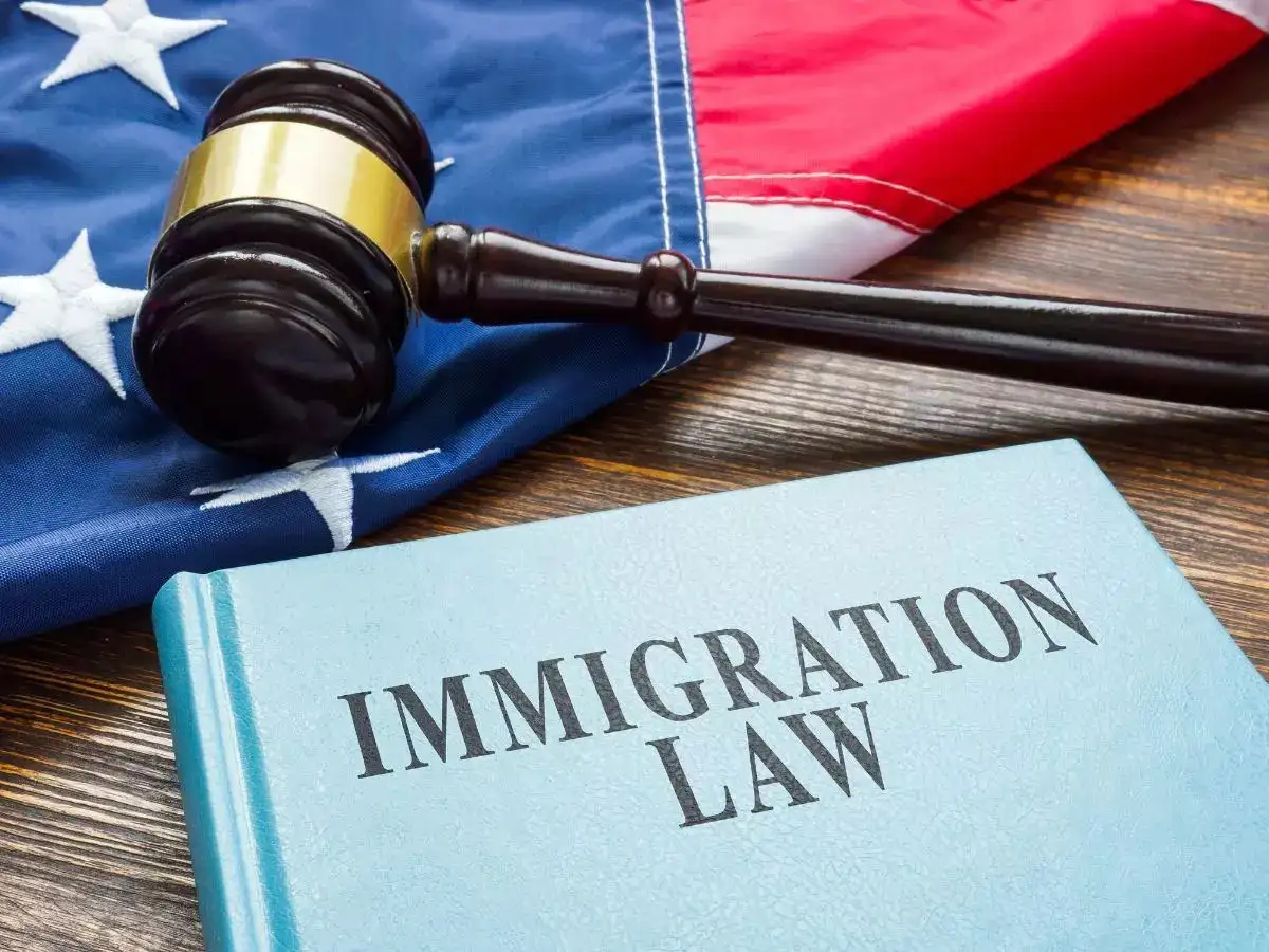 US: Deportations reach new high after summer surge in immigration arrests