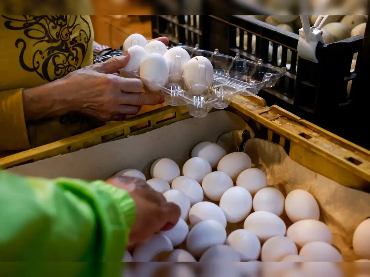 egg prices: Remember when egg prices ballooned last year? Now they've fallen so low that United States farmers are in crisis - The Economic Times