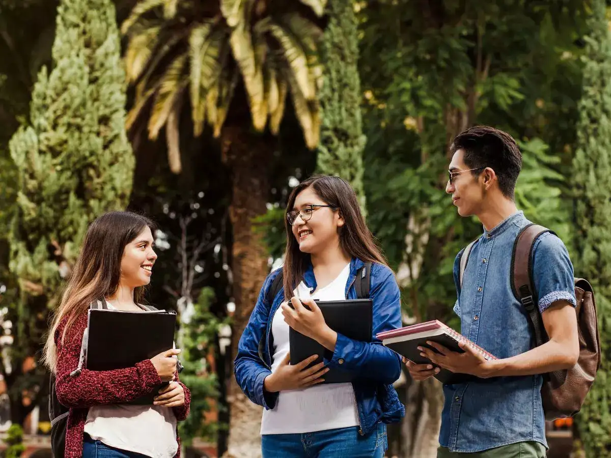 New Zealand to launch Short-Term Graduate Work Visa, expand post-study work options for international students