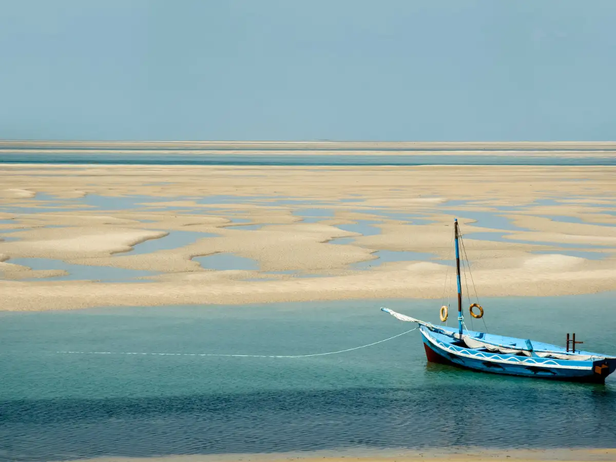 Mozambique launches digital e-Visa system for travellers from 183 countries including India