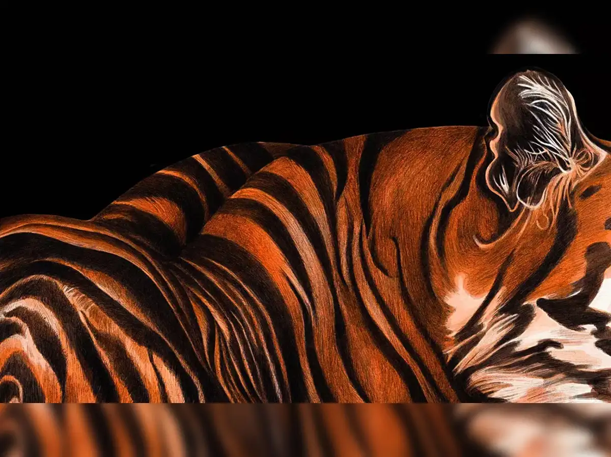 Does 'Tiger Global' leave investors confused, or finally put economic substance over legal form?