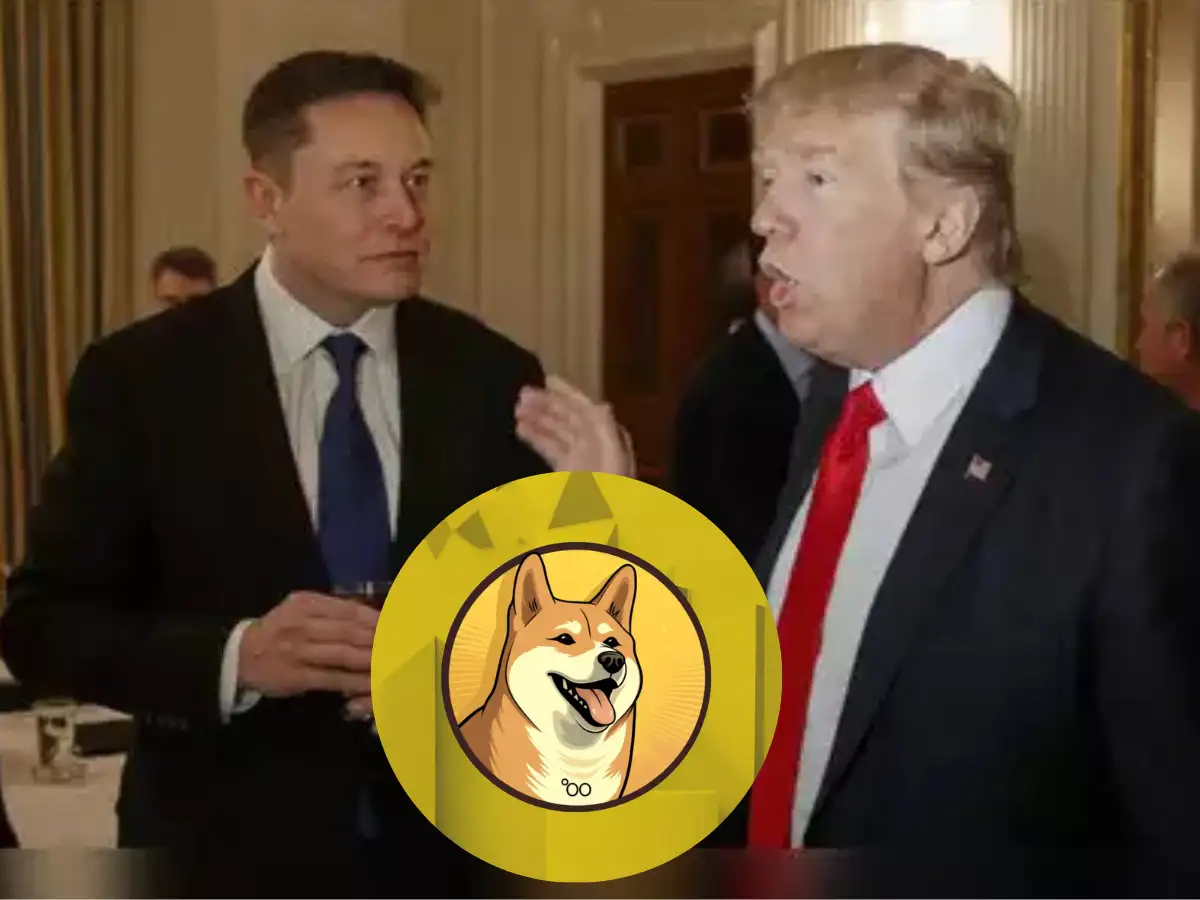 A dope for DOGE (and Dogecoin): Trump taps Musk in efficiency team, crypto  fans rejoice - The Economic Times