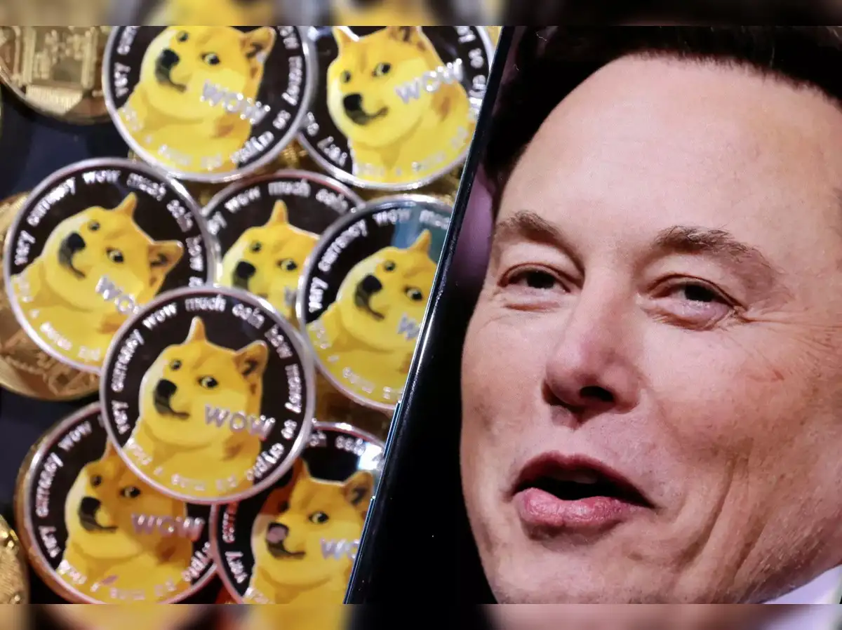 elon musk: Elon Musk says never suggested people should invest in Dogecoin  - The Economic Times