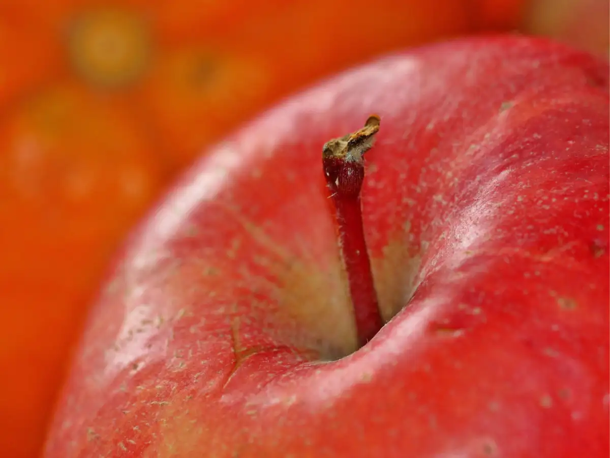 Eating more fruits? Study reveals how your choices could be increasing pesticide levels in your blood