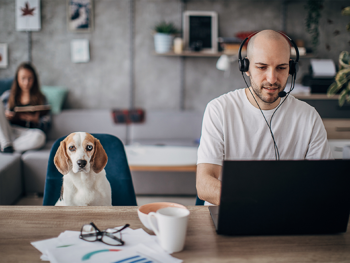 16  Work at Home Jobs and Money-Making Gigs