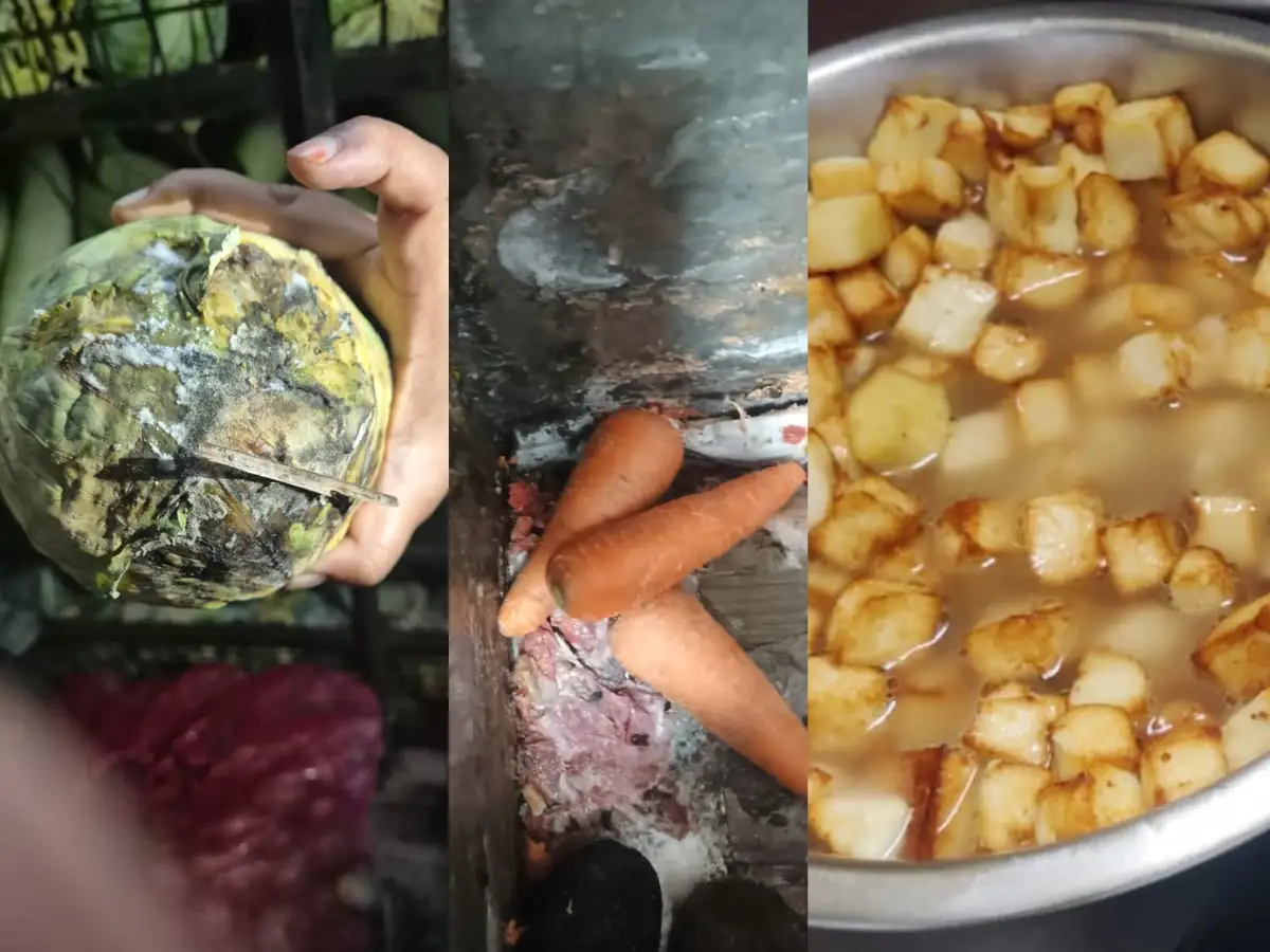 Rotten Food