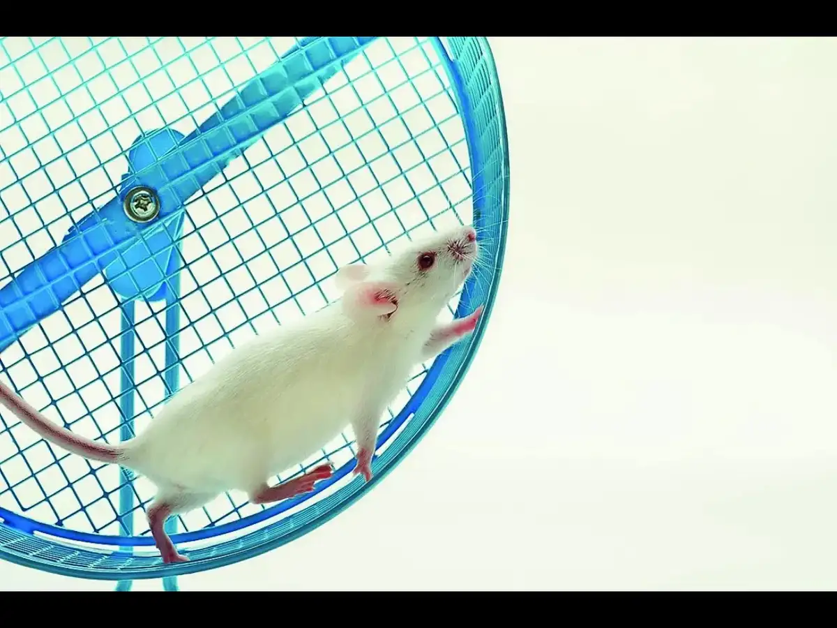 The delimitation debate reflects our inability to eschew the politics of handouts, caste and ethnicity