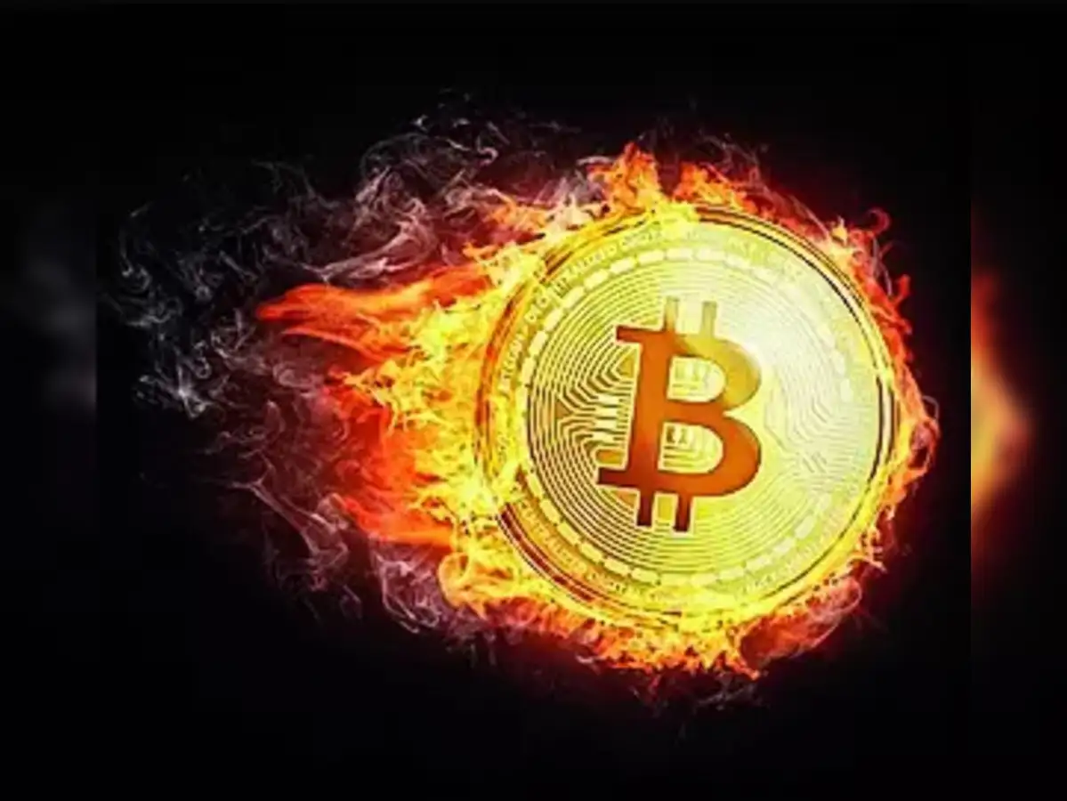 cryptocurrency: Bitcoin rally masks bleaker picture emerging in  cryptocurrency world - The Economic Times