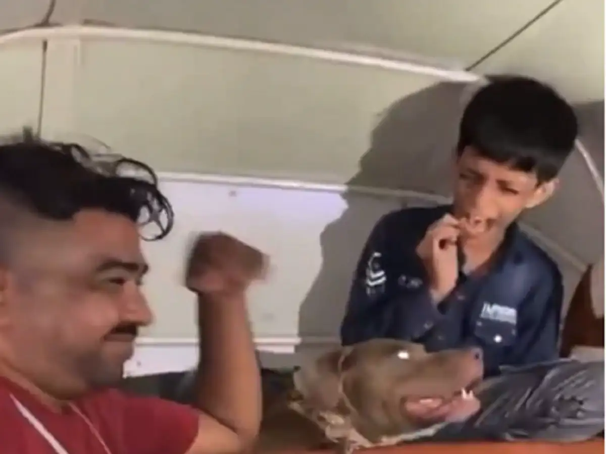 Viral video: Man laughs as pet pit bull dog mauls child inside rickshaw -  The Economic Times
