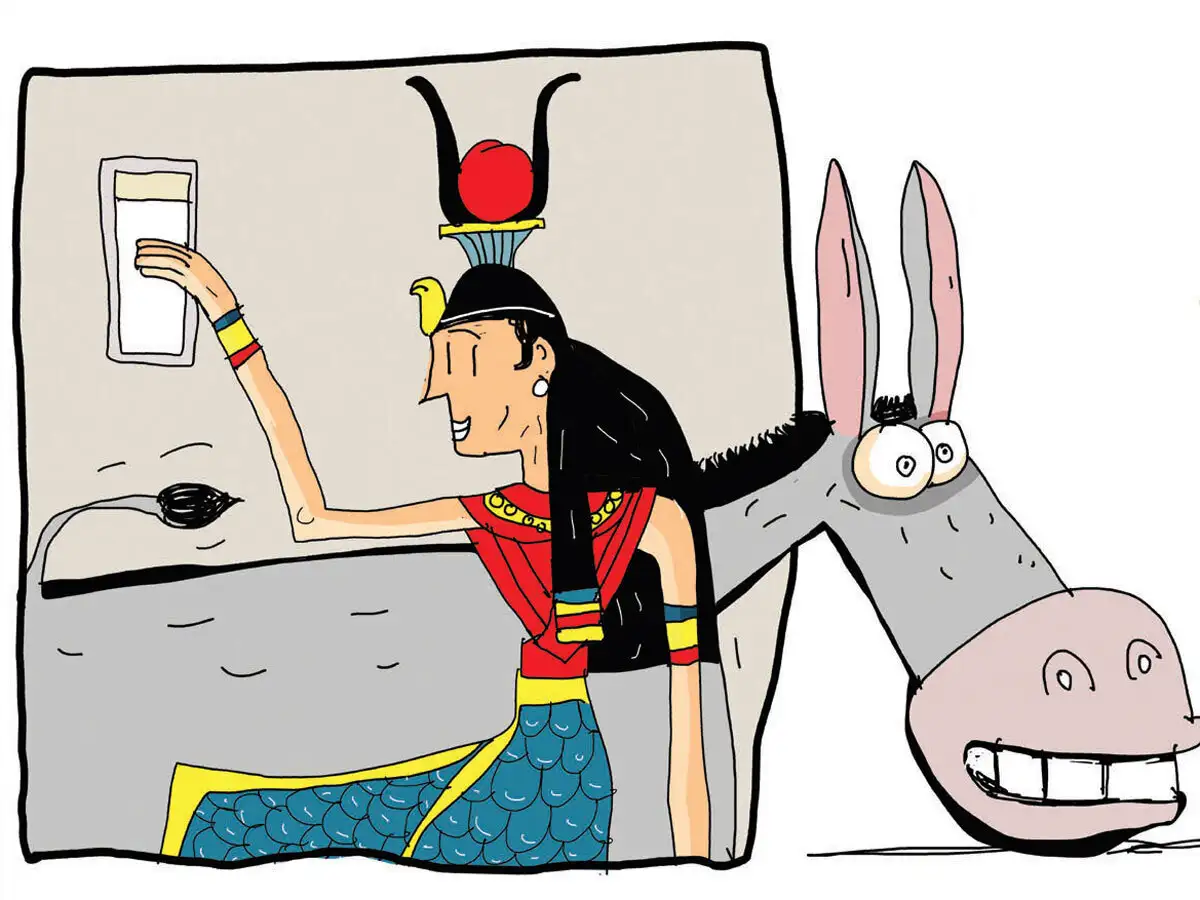 Donkeys Milk Benefits No Kidding Donkey S Milk Is The New Elixir