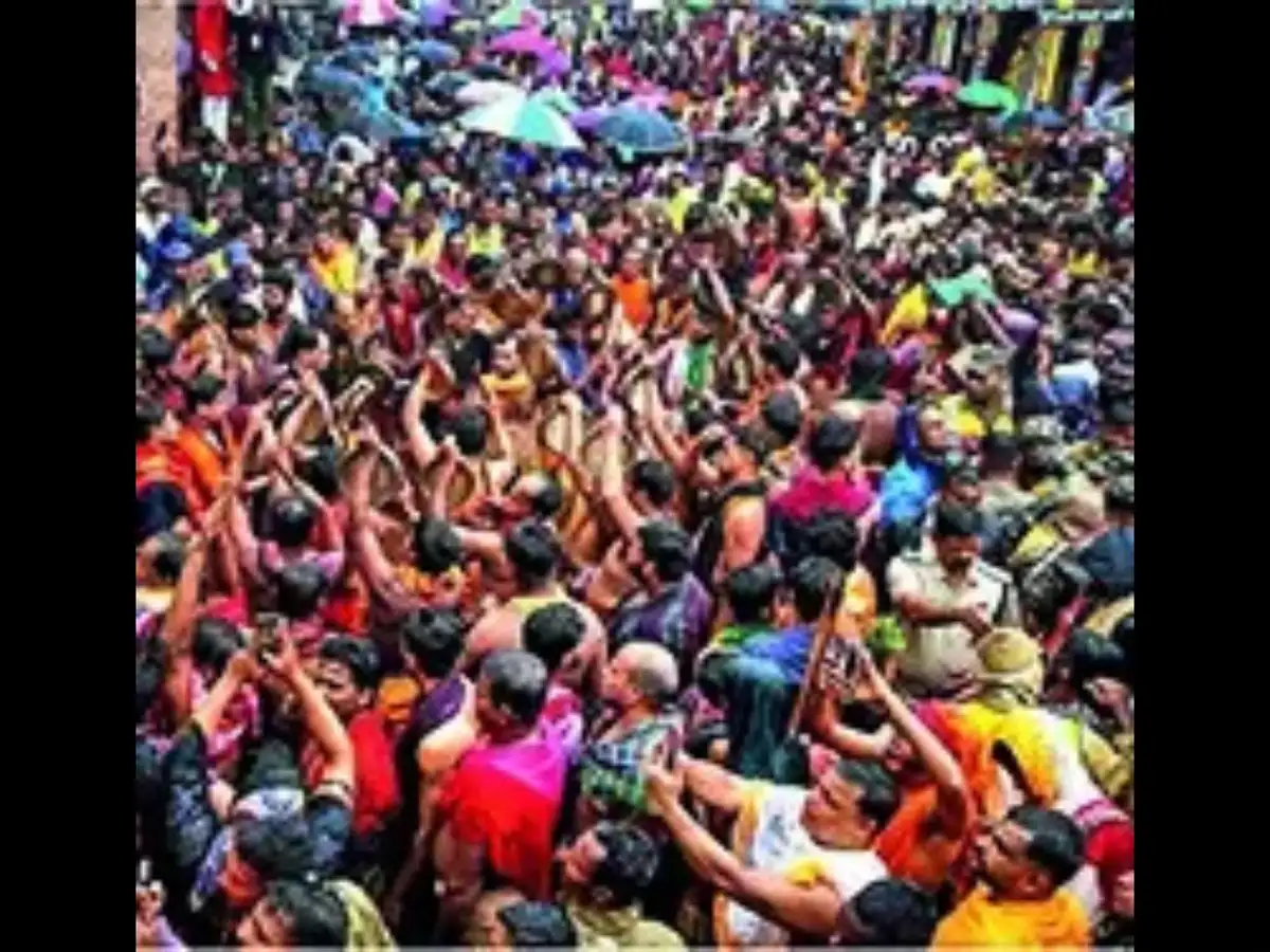 Stop romanticising India's cattle class