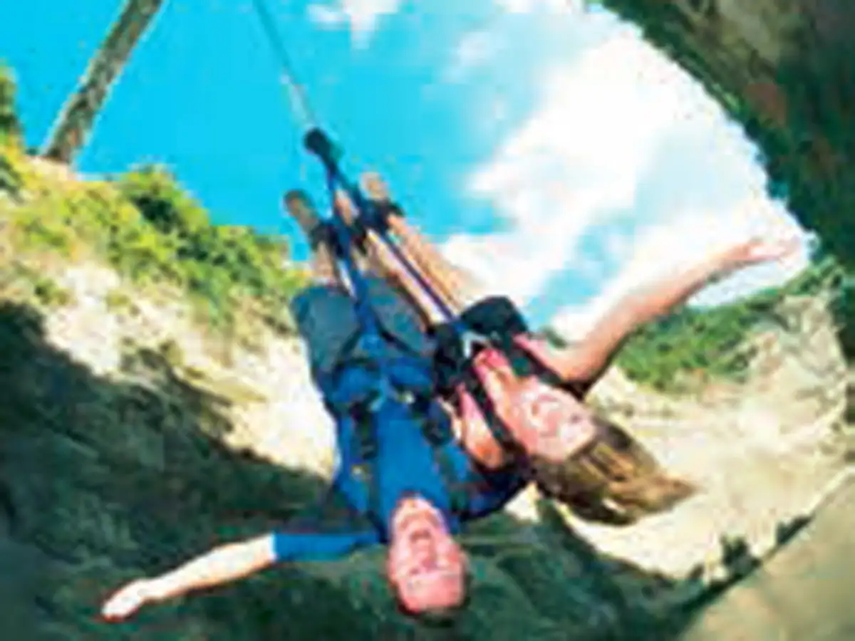 Bungee jump this holiday season from the Bloukrans Bridge in South Africa -  The Economic Times