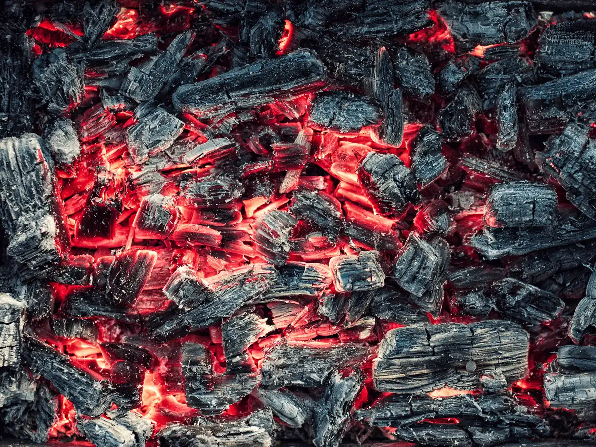 Coal India Share Price Coal India Stock Fails To Impress But Government Made A Cool Rs 74 000 Crore The Economic Times Hence before taking any ur decision consult or discuss. coal india stock fails