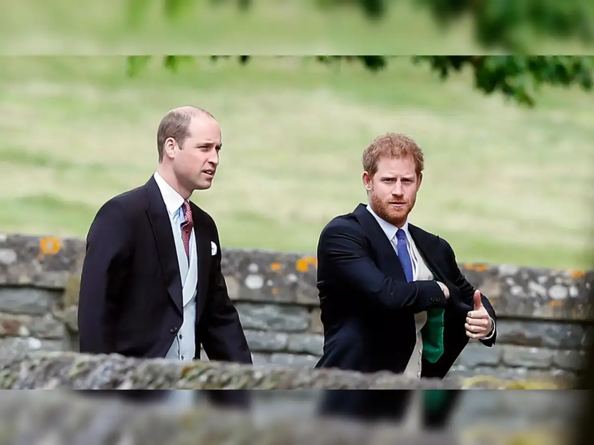 operation-bring-harry-in-from-