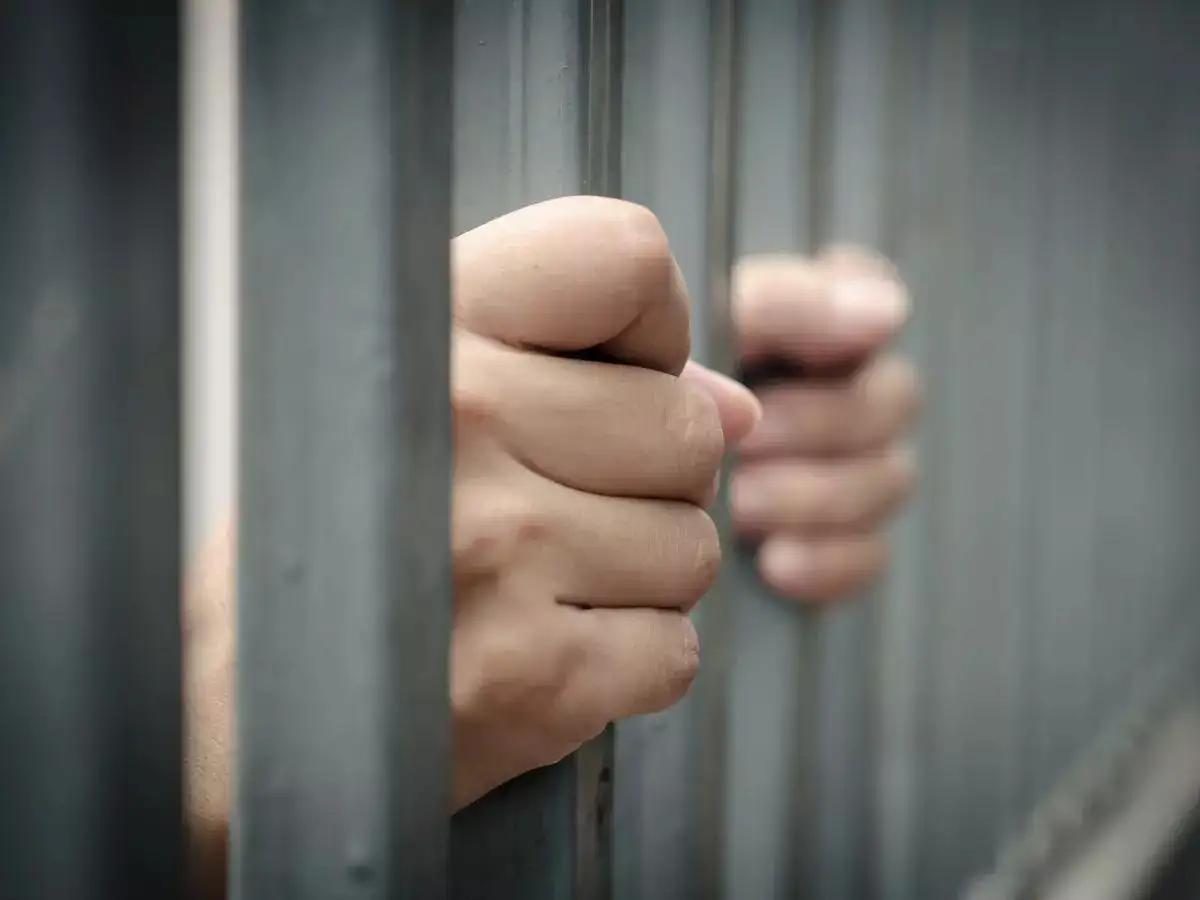 US border patrol agents arrest 30 Indians living illegally in the country