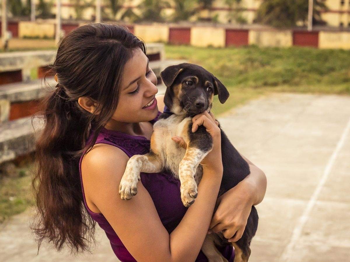 stray dogs: Cute, furry pooches come to the rescue of Indians feeling  lockdown blues, more people adopt strays - The Economic Times