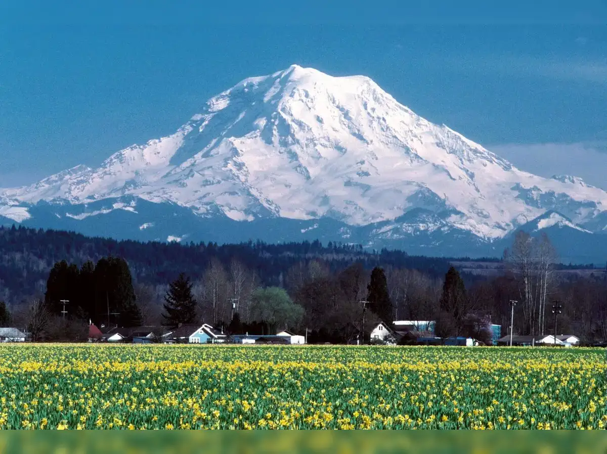 Mount Rainier earthquake swarm explained; what's behind the volcano's  biggest tremors in 15 years? - The Economic Times