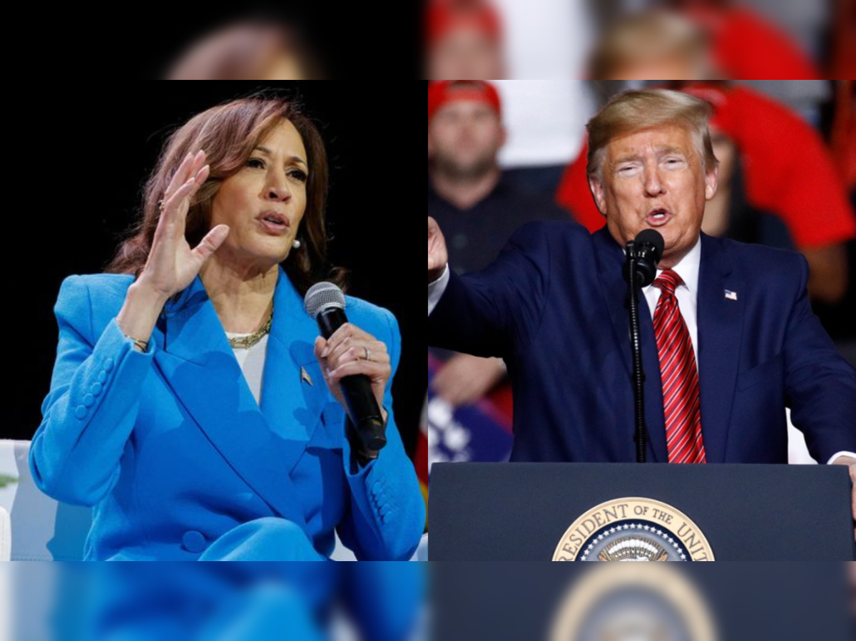 US election 2024: US Presidential election 2024: Kamala Harris or Donald  Trump - who is winning? - The Economic Times