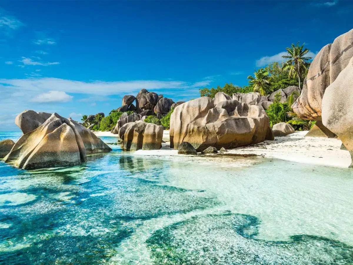 Indian tourists will feel 'right at home' in Seychelles, says Tourism Secretary Francis
