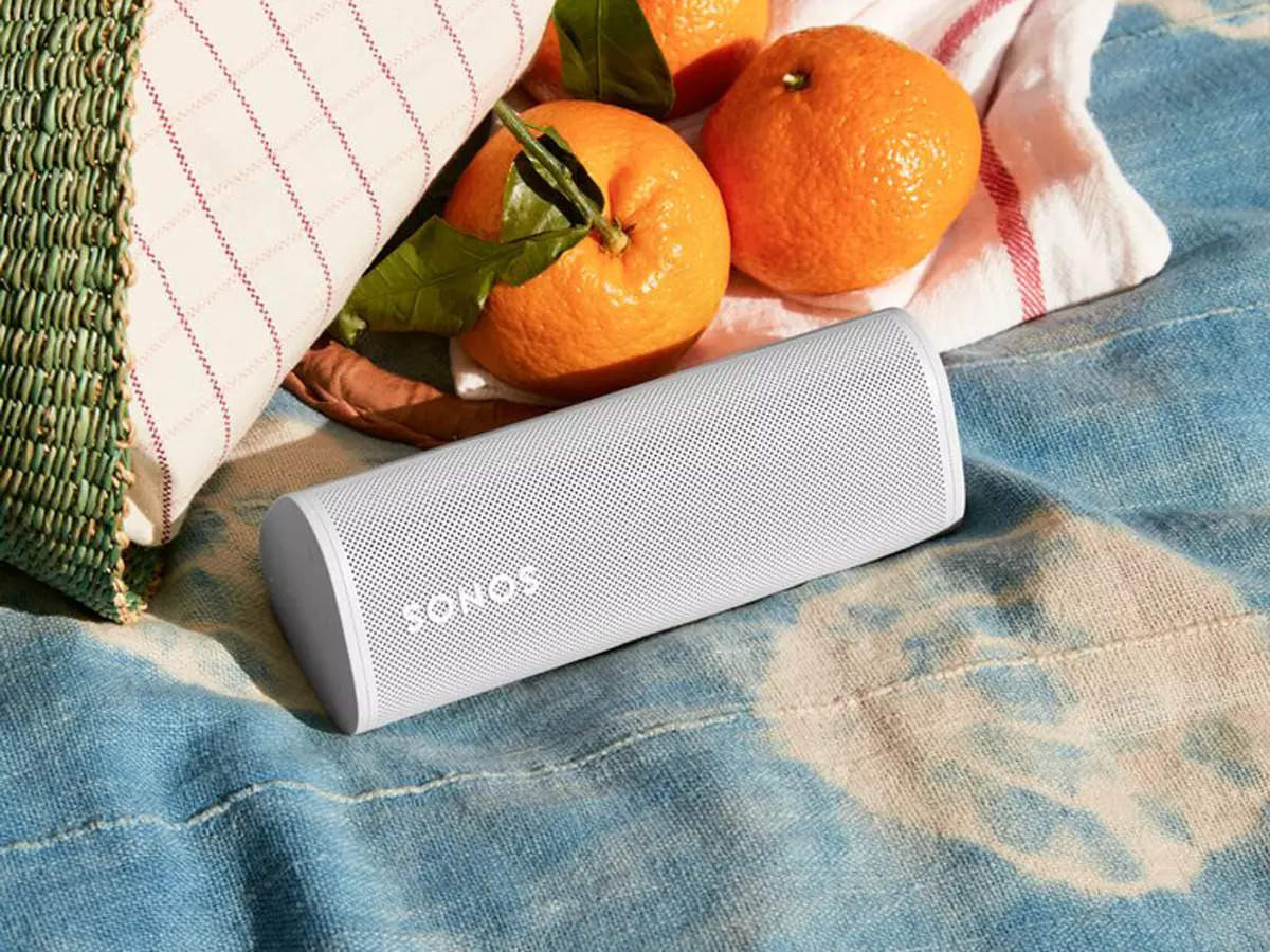 sonos roam output